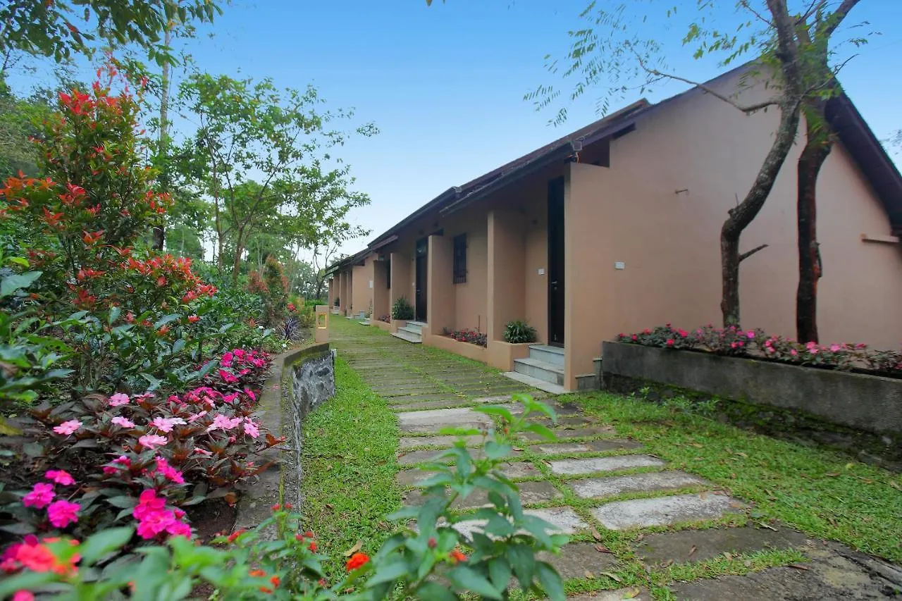 Tea Terrain Resorts & Spa Vagamon Hotel