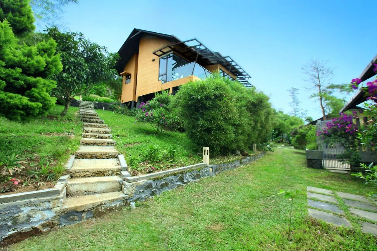 ***** 호텔 Tea Terrain Resorts & Spa 바가몬 인도